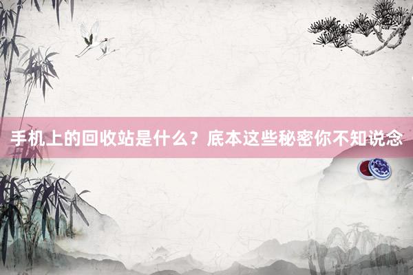 手机上的回收站是什么？底本这些秘密你不知说念